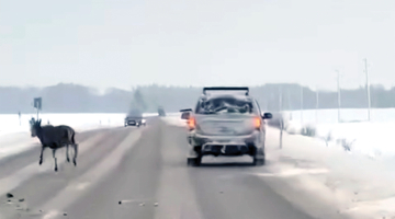 Video ekrānuzņēmums, kas uzņemts pagājušā gada 9. decembrī Saldus novada Jaunlutriņu pagastā uz autoceļa Saldus—Kuldīga